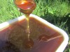 Мёд Алтайский разнотравье 100% натуральный