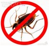 Комары Мухи истребление в Самаре и области
