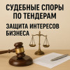 Юрист по тендерам и судебным спорам — защита интересов бизнеса.
