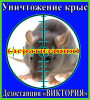 Уничтожение крыс в Алматы и области. Дезостанция «ВИКТОРИЯ»