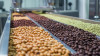 Обработка, переработка и производству пищевых продуктов под заказ