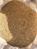Продаю Фуражный Ячмень (Меркенский Район)